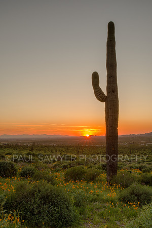 Superstition Sunset