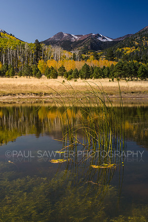 Flagstaff,AZ