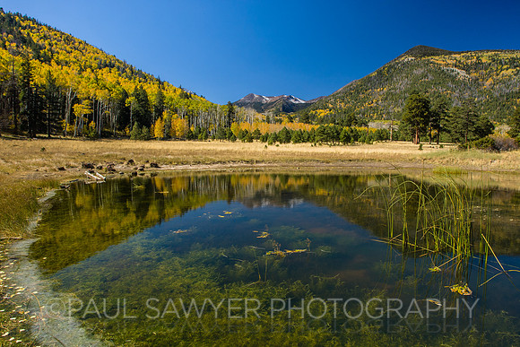 Flagstaff, AZ