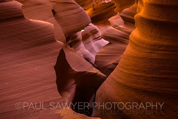Mountain Sheep Canyon