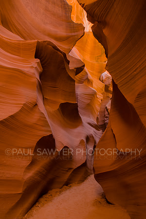 Mountain Sheep Canyon