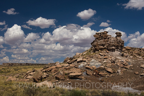 Petrified Forest