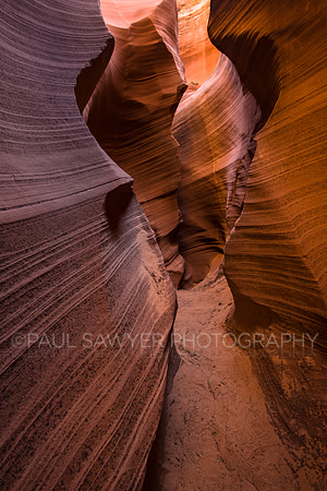 Mountain Sheep Canyon