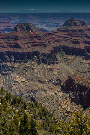 Grand Canyon North