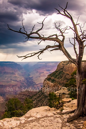 Grand Canyon South