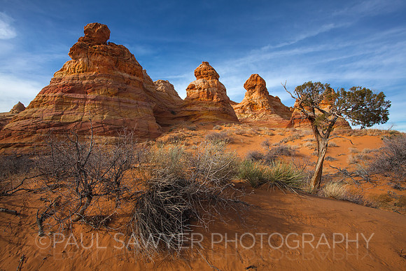 South Coyote Buttes