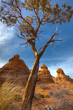 South Coyote Buttes