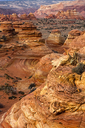 South Coyote Buttes