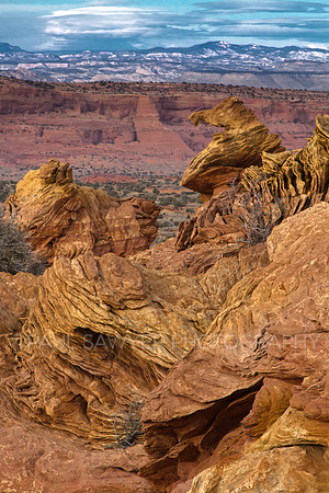 South Coyote Buttes