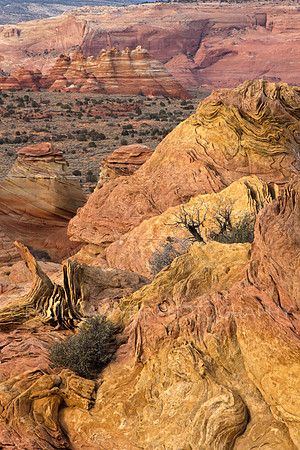 South Coyote Buttes