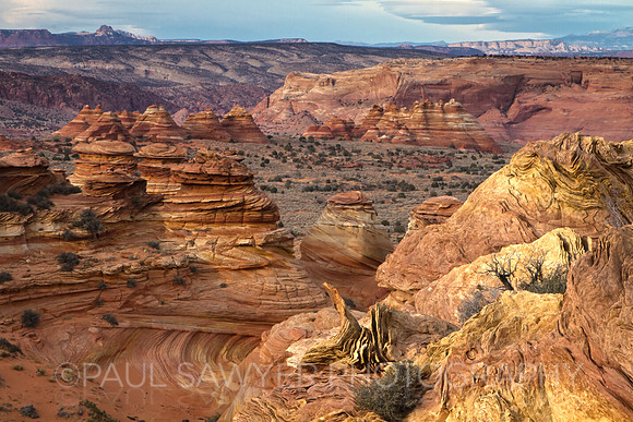 South Coyote Buttes
