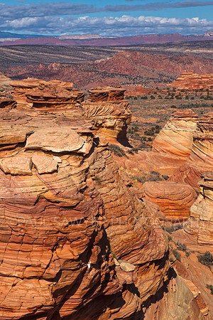 South Coyote Buttes