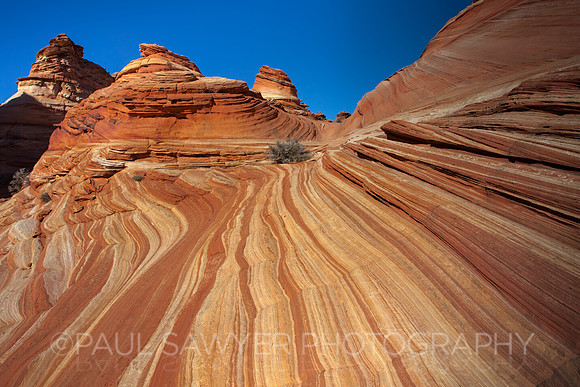 South Coyote Buttes