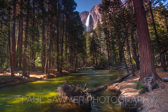 Yosemite NP, CA