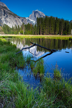 Cathedral Mountain
