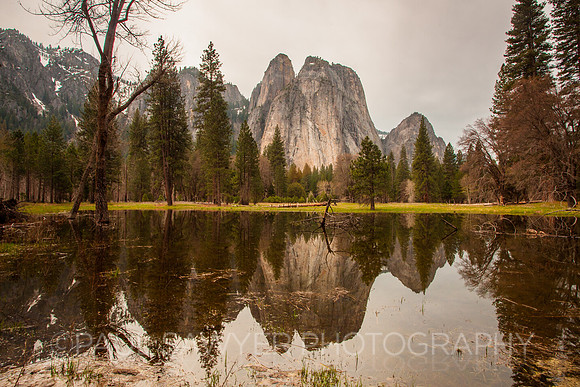 Cathedral Spires