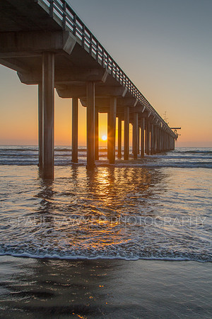 Scripps Pier