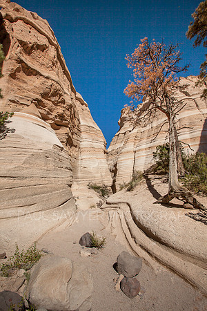 Tent Rocks National Monument