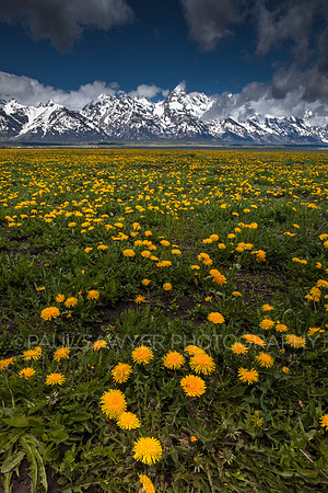 Teton Range