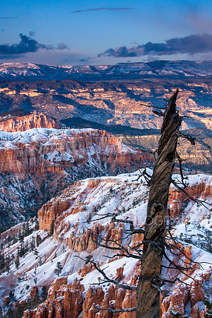 Bryce Canyon