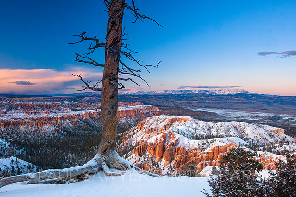 Bryce Canyon