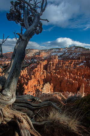 Bryce Canyon