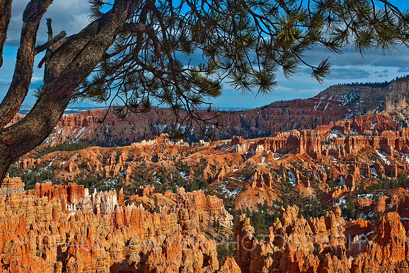 Bryce Canyon