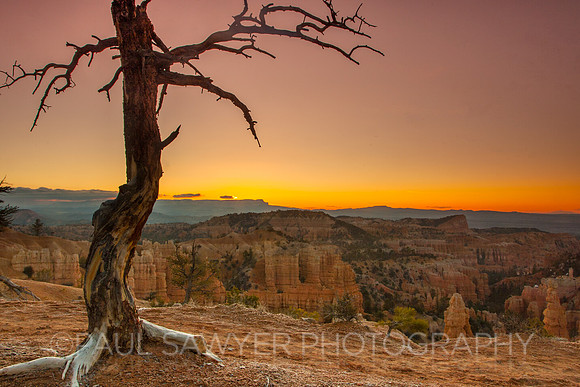 Bryce Canyon