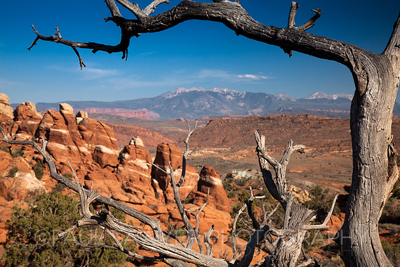 Fiery Furnace