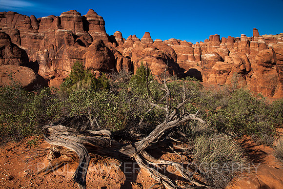 Fiery Furnace