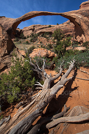 Landscape Arch