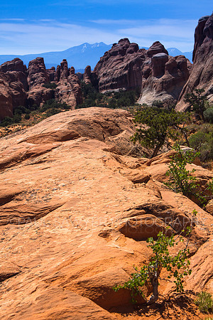 Devil's Garden