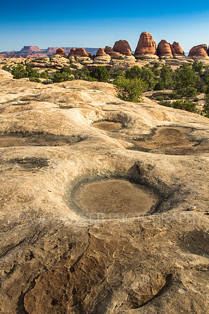 Elephant Rock