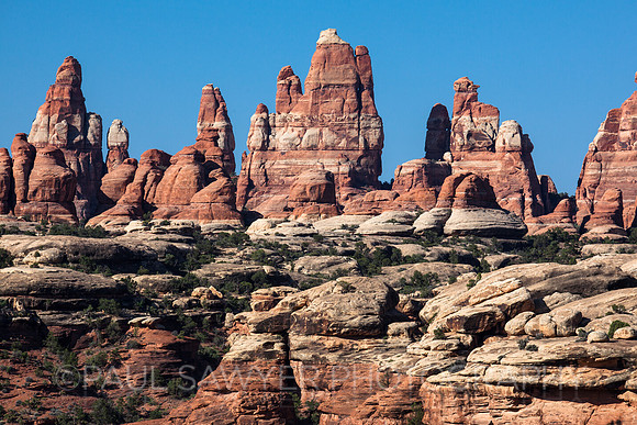 Needles Section - Canyonlands