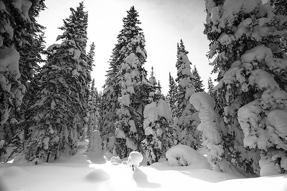 West Yellowstone, MT