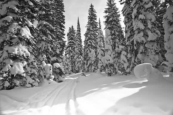 West Yellowstone, MT
