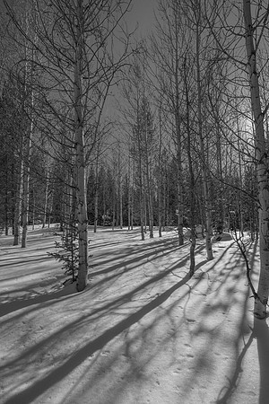 West Yellowstone, MT