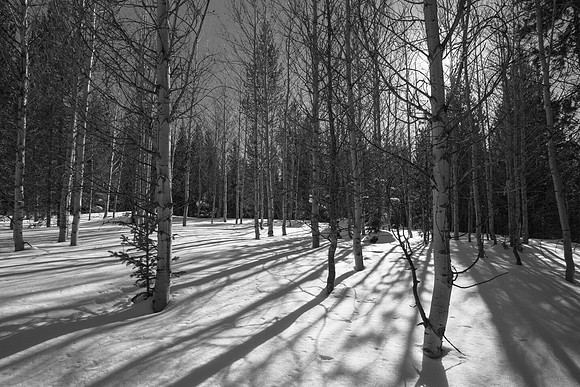 West Yellowstone, MT