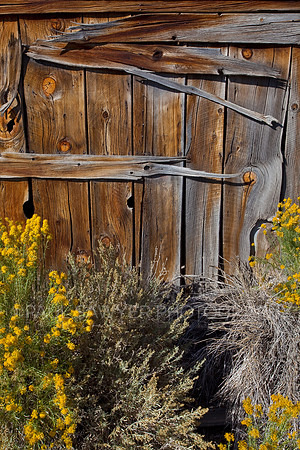 door