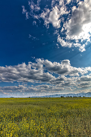 Kalispell, MT