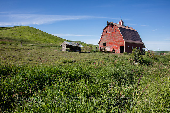 Palouse, WA