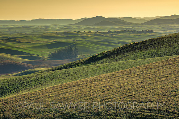 The Palouse, WA