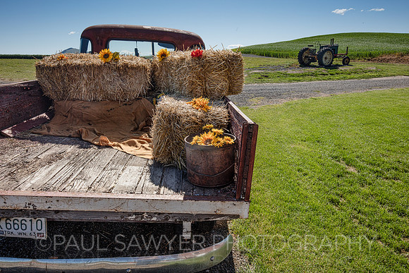 Palouse, WA