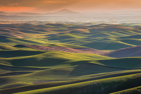The Palouse
