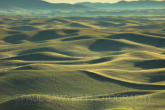 The Palouse, WA