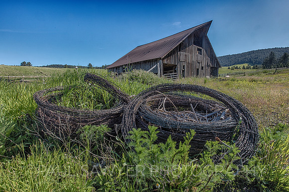 Palouse, WA