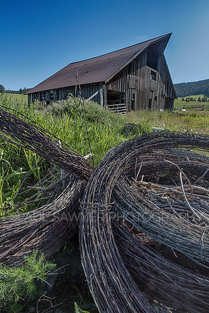 Palouse, WA