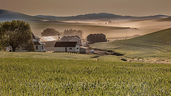 Palouse, WA
