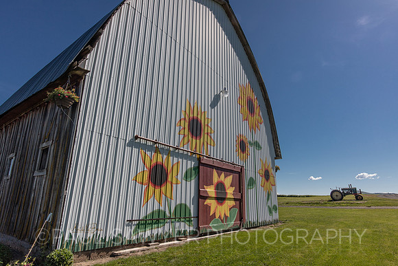 Palouse, WA