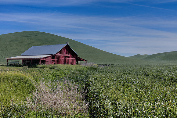 Palouse, WA